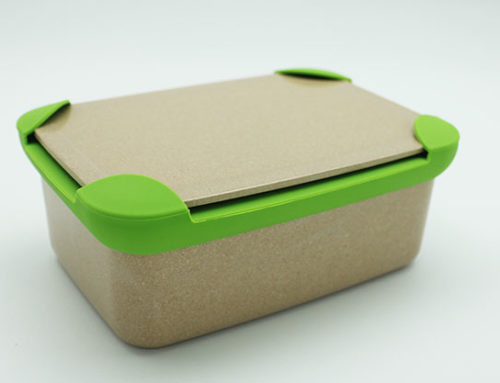 Kids Bento Box Lunch Box