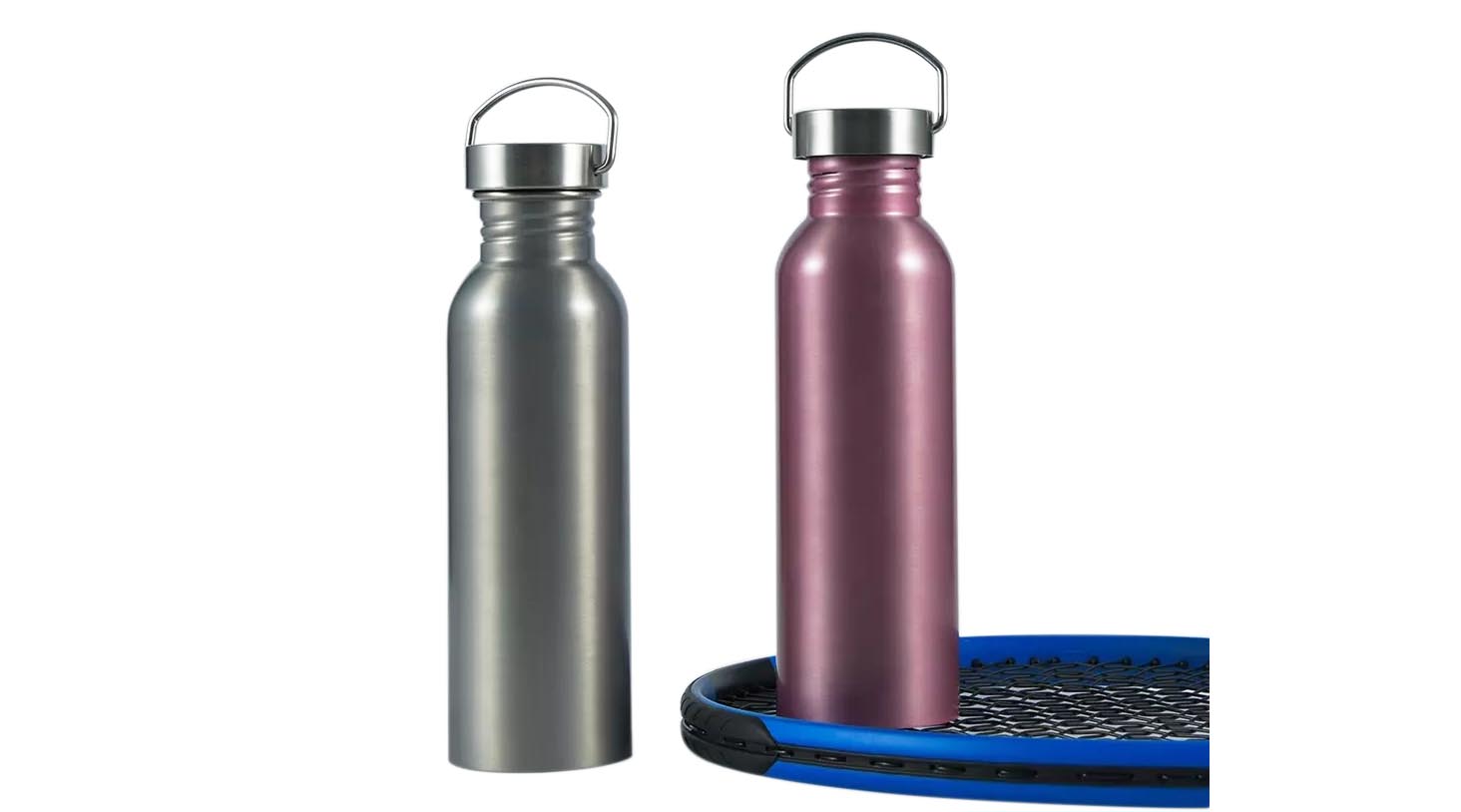 Stainless Steel Insulated Bottles In Customized colors