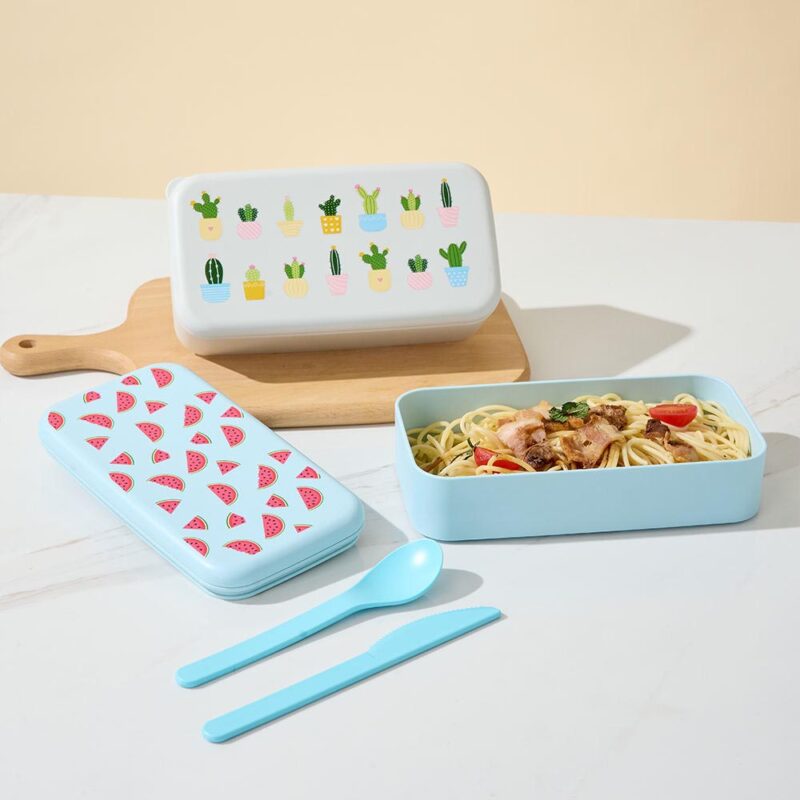 custom plastic lunch box