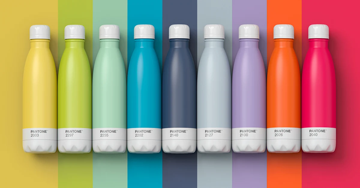 Pantone Stainless Steel Vacuum Bottles