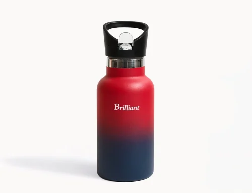 Spray Coated Two-Tone Gradient Insulated Stainless Steel Bottle