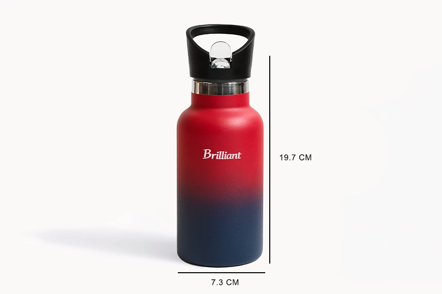 custom gradient insulated stainless steel bottle full size view