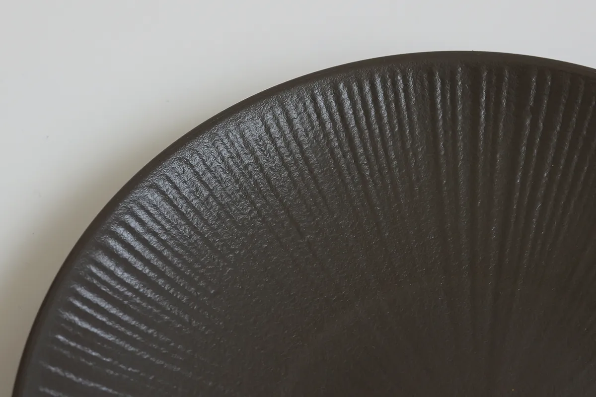 Radiant Texture Charcoal Gray Pasta Plate Side Profile View