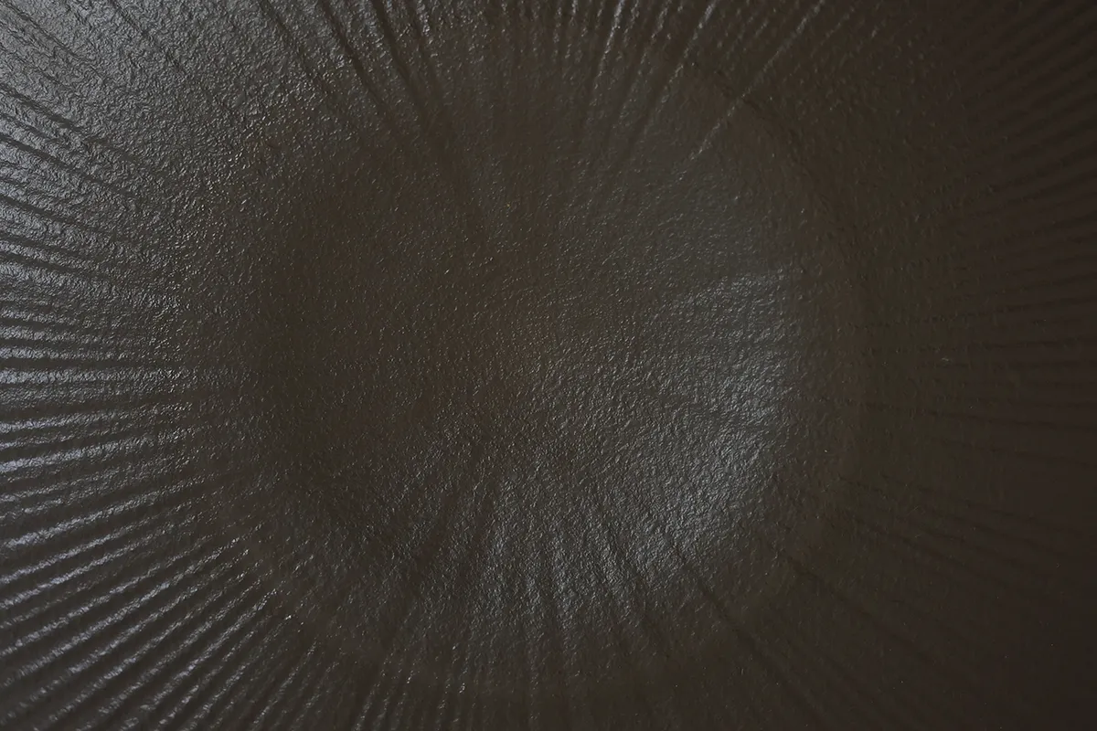 Radiant Texture Charcoal Gray Pasta Plate Perspective View